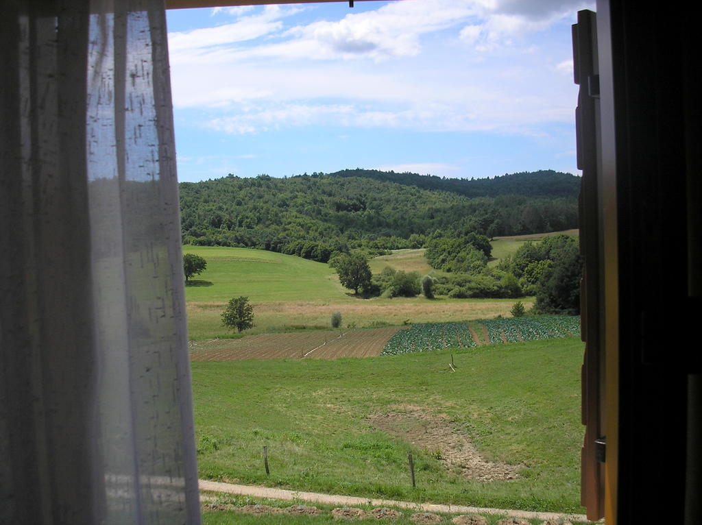 ホテル Agroturism Stara Stala Borut 部屋 写真
