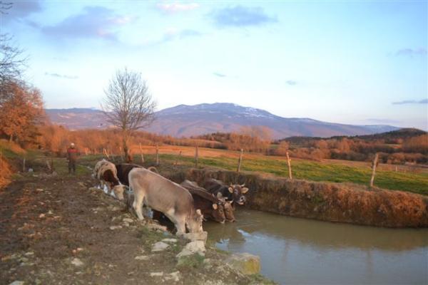 ホテル Agroturism Stara Stala Borut エクステリア 写真